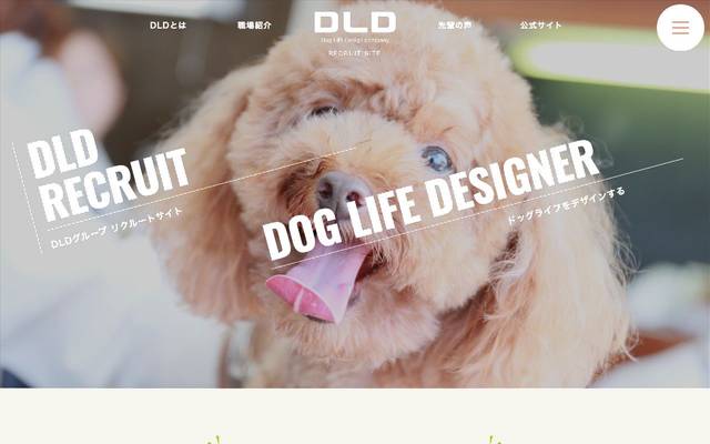 DLDグループ 採用サイトのサイト