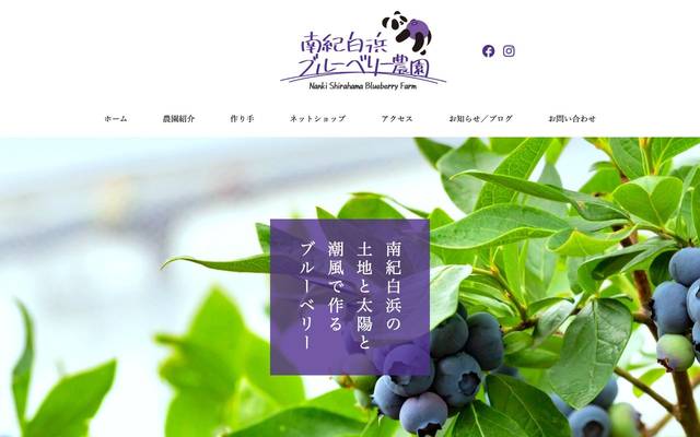 南紀白浜ブルーベリー農園様のサイト