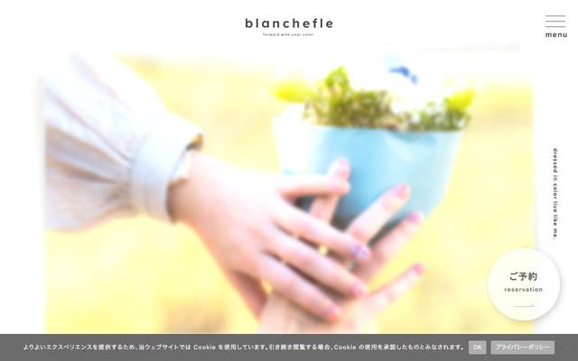blanchefleのサイト