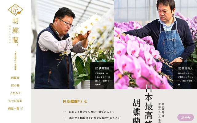 匠胡蝶蘭のサイト