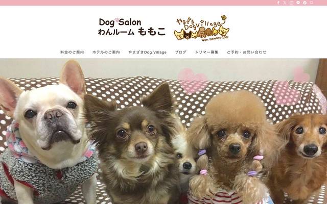 わんルームももこのサイト