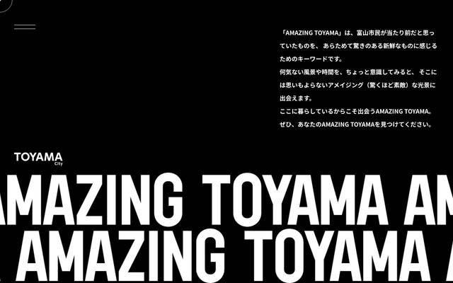AMAZING TOYAMAフォトアルバムのサイト